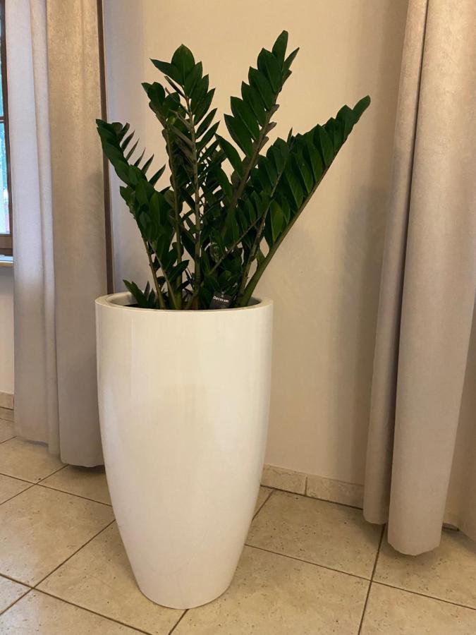 Palac Jablonowo Bed and Breakfast Ujście Εξωτερικό φωτογραφία