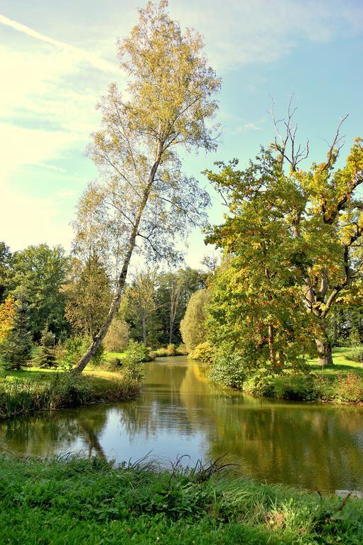 Palac Jablonowo Bed and Breakfast Ujście Εξωτερικό φωτογραφία