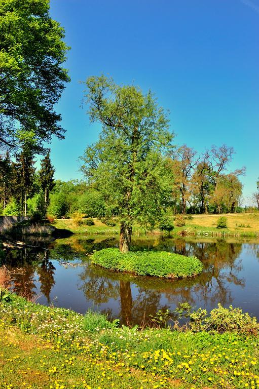 Palac Jablonowo Bed and Breakfast Ujście Εξωτερικό φωτογραφία